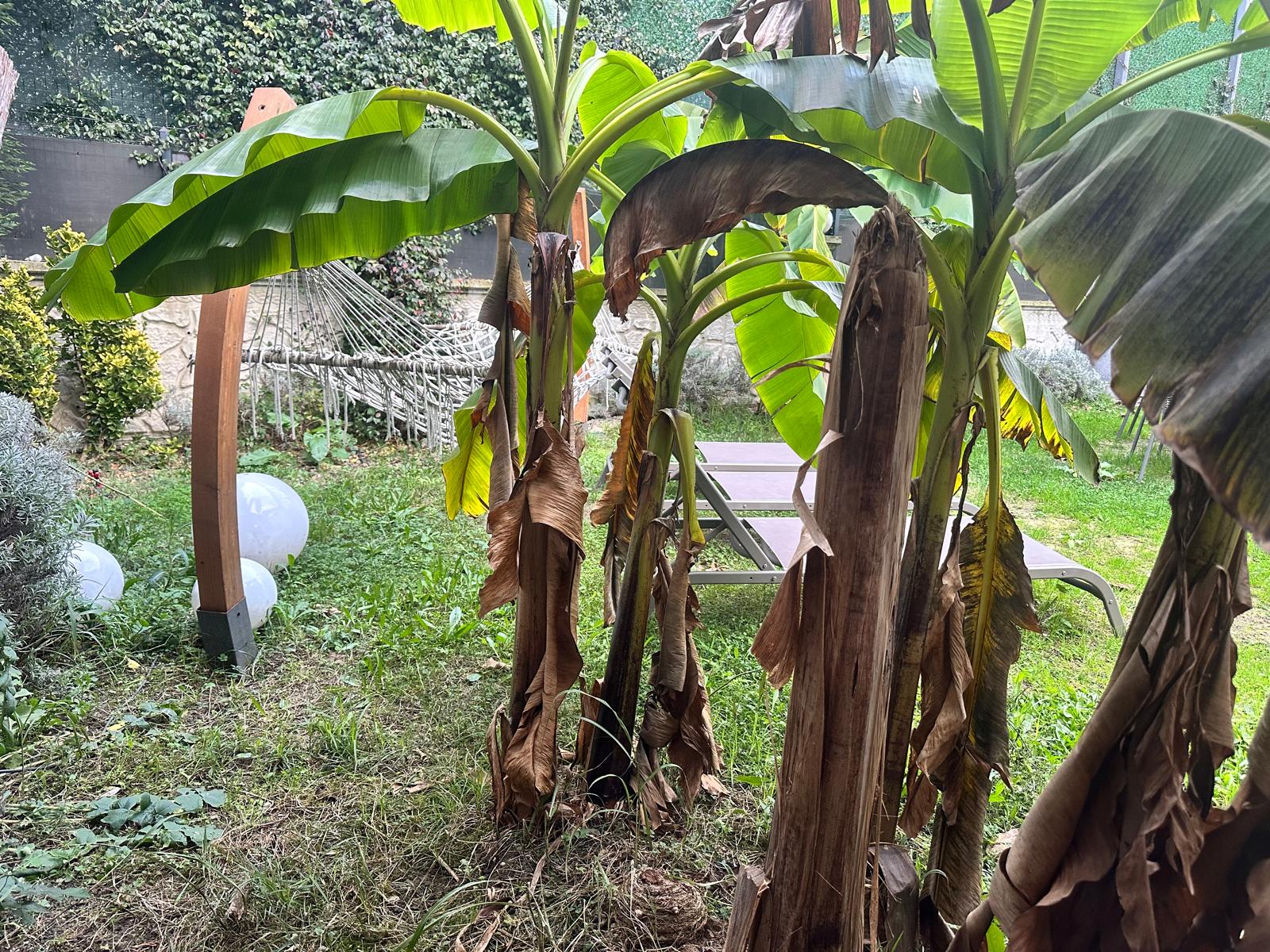 Why Soft Lighting Changes Emotional Perception at Night