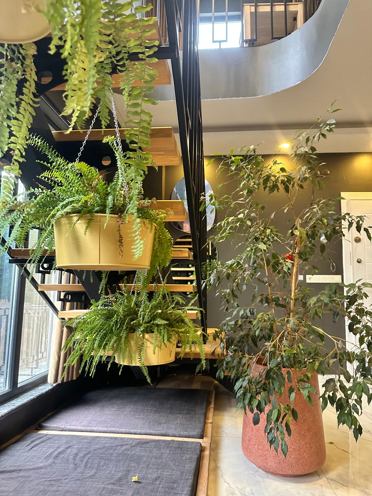 The Role of Stillness in Creating a Grounded Living Space