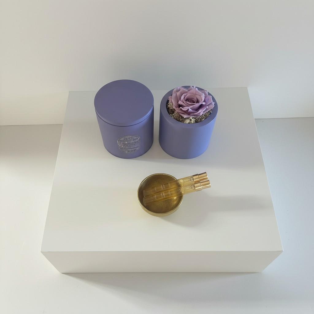 How Soft Fragrance Signals Safety to the Mind