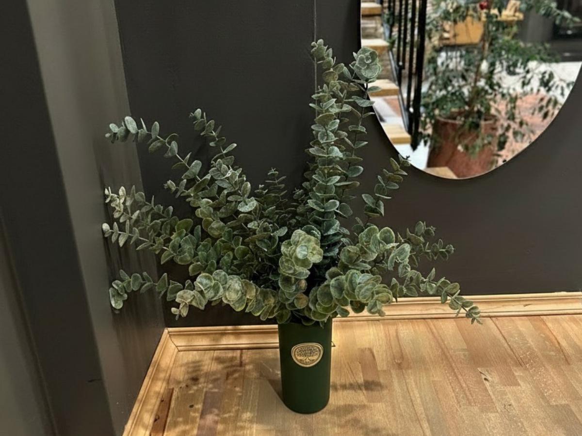 Decorative Line