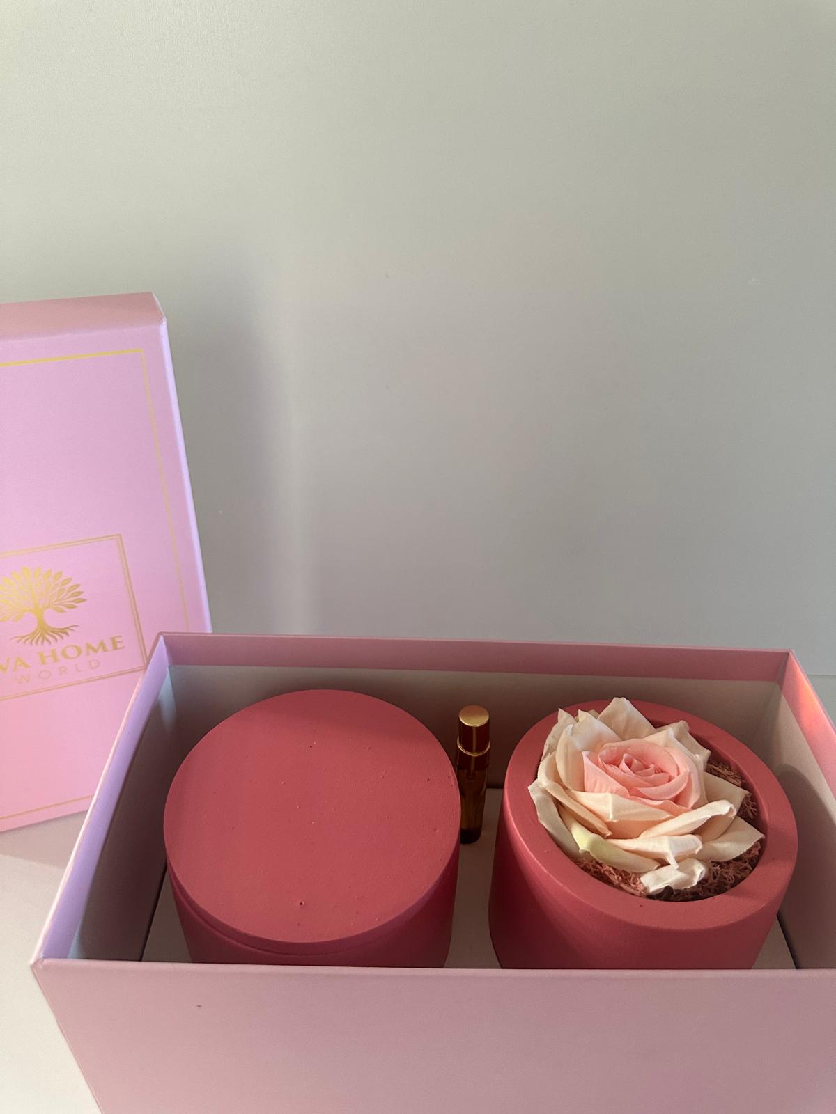 Luminous Bloom – Awakening & Light Ritual Set
