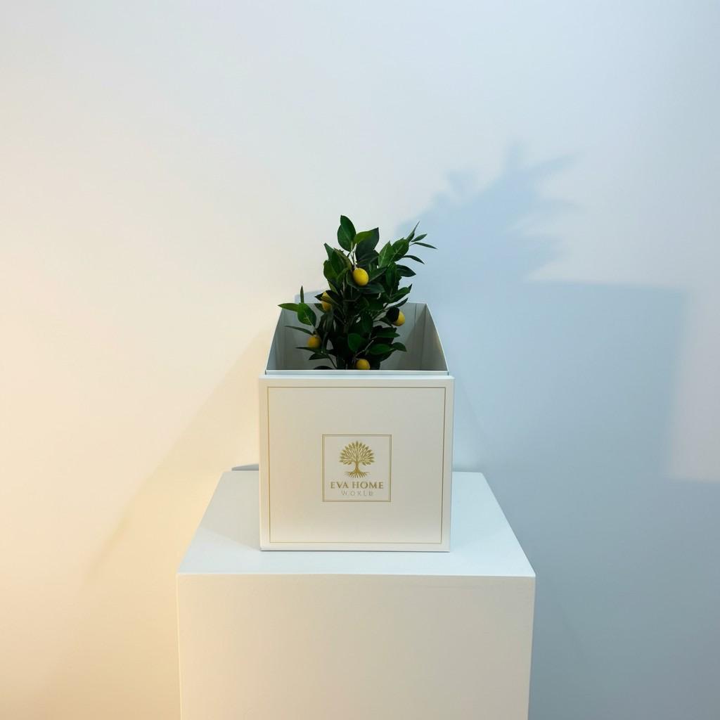 Citrus Harmony Medium Vase — Fresh Vibrant Luxury Decor (20x20 cm)