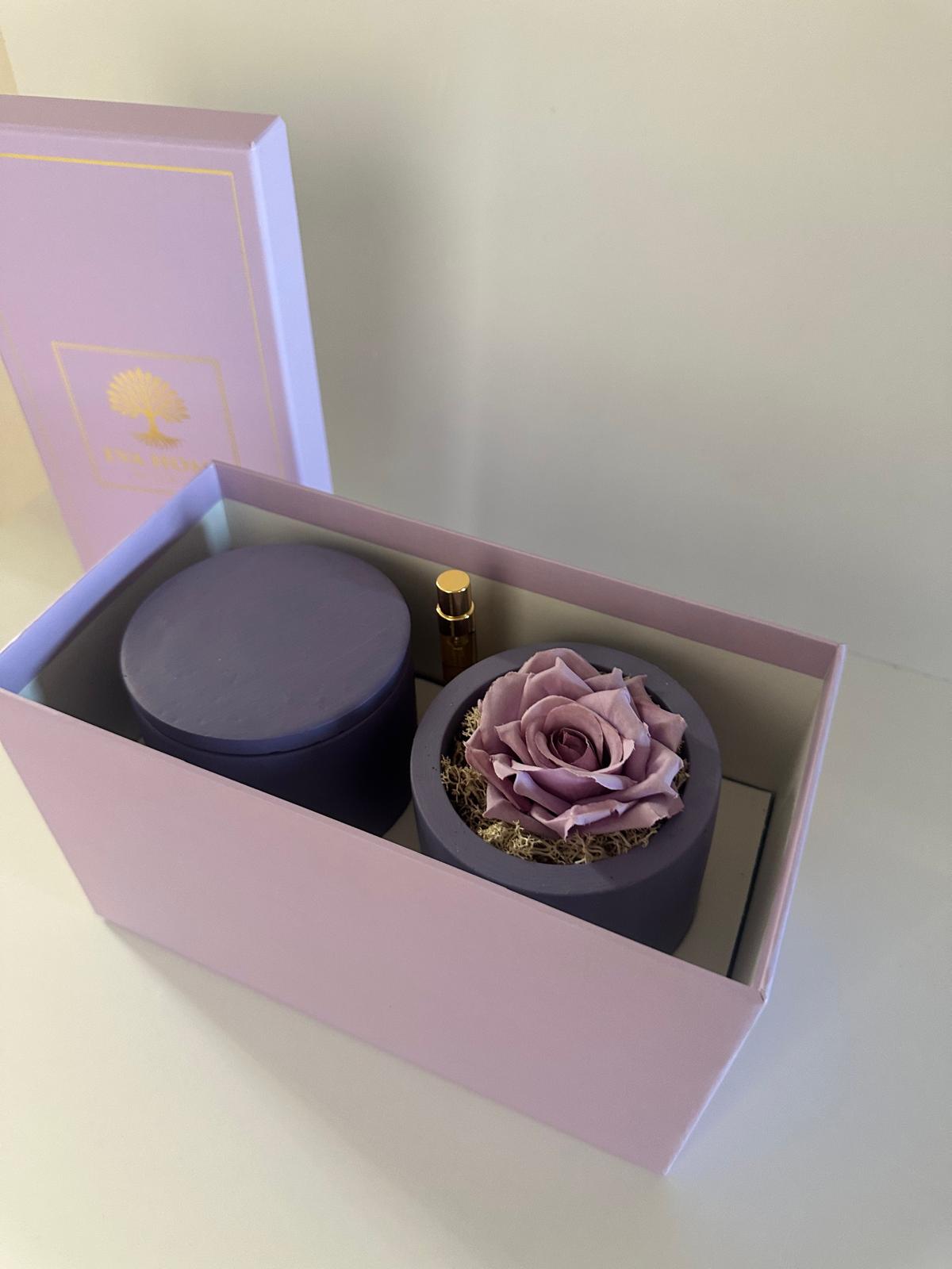 Lavender Peace – Stillness & Clarity Ritual Set