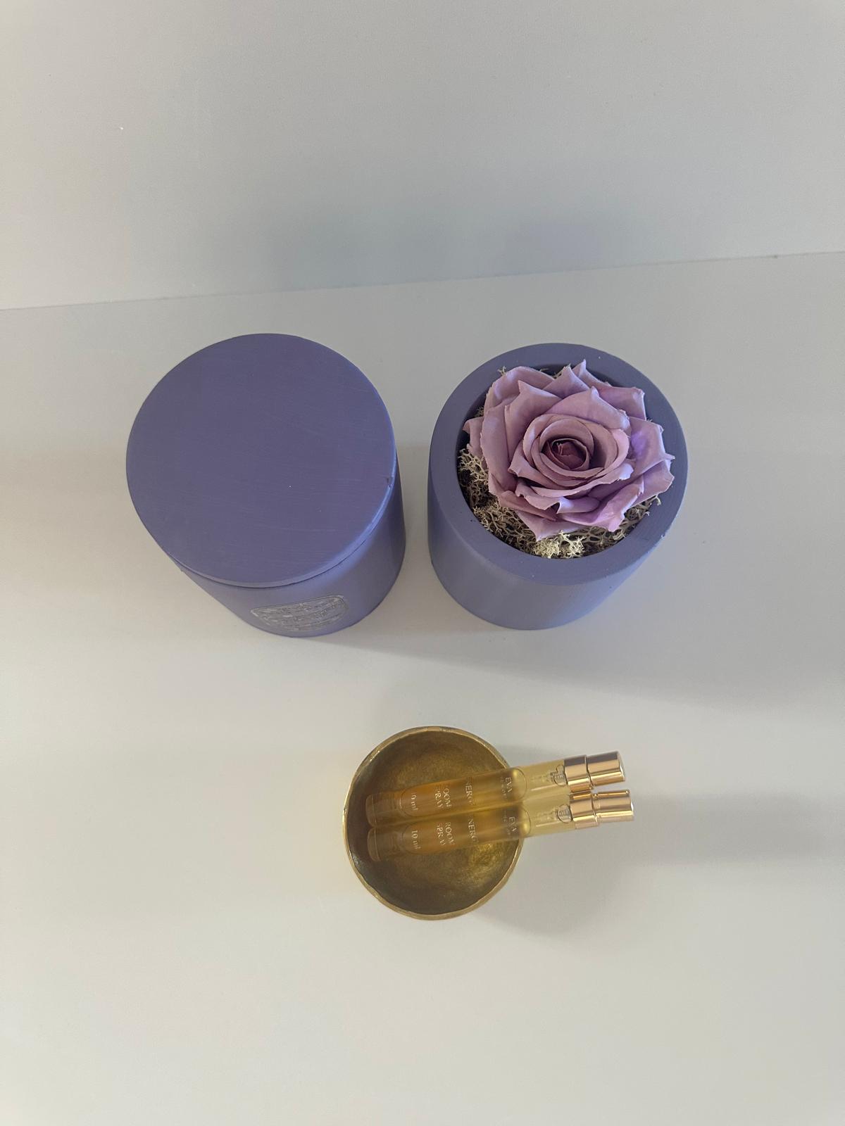 Lavender Peace – Stillness & Clarity Ritual Set