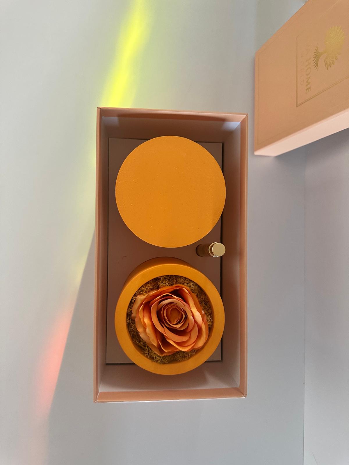 Citrus Harmony – Joy & Vitality Ritual Set