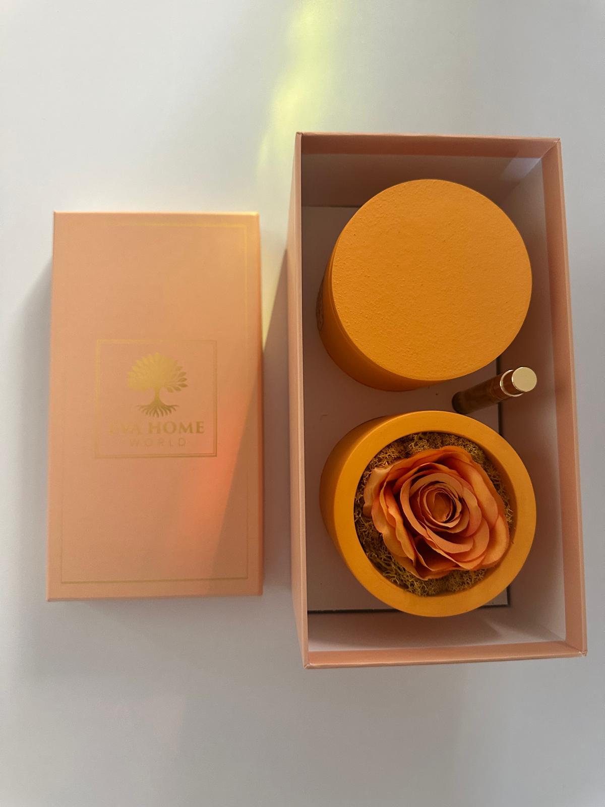 Citrus Harmony – Joy & Vitality Ritual Set