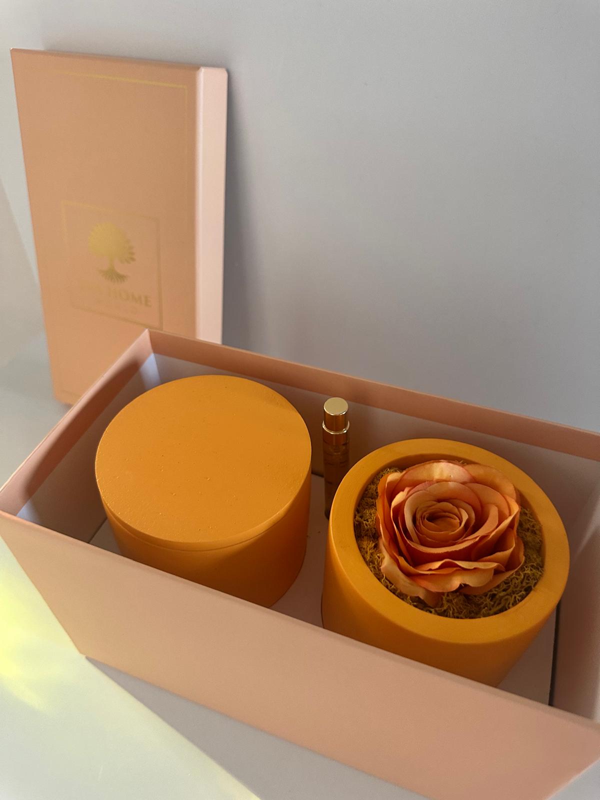 Citrus Harmony – Joy & Vitality Ritual Set