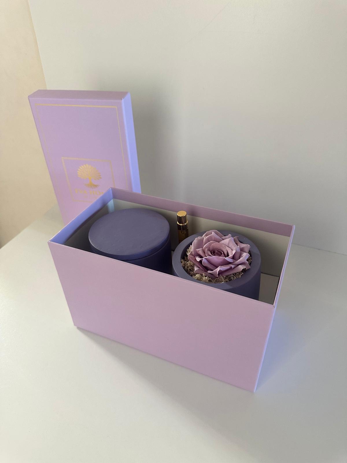 Lavender Peace – Stillness & Clarity Ritual Set