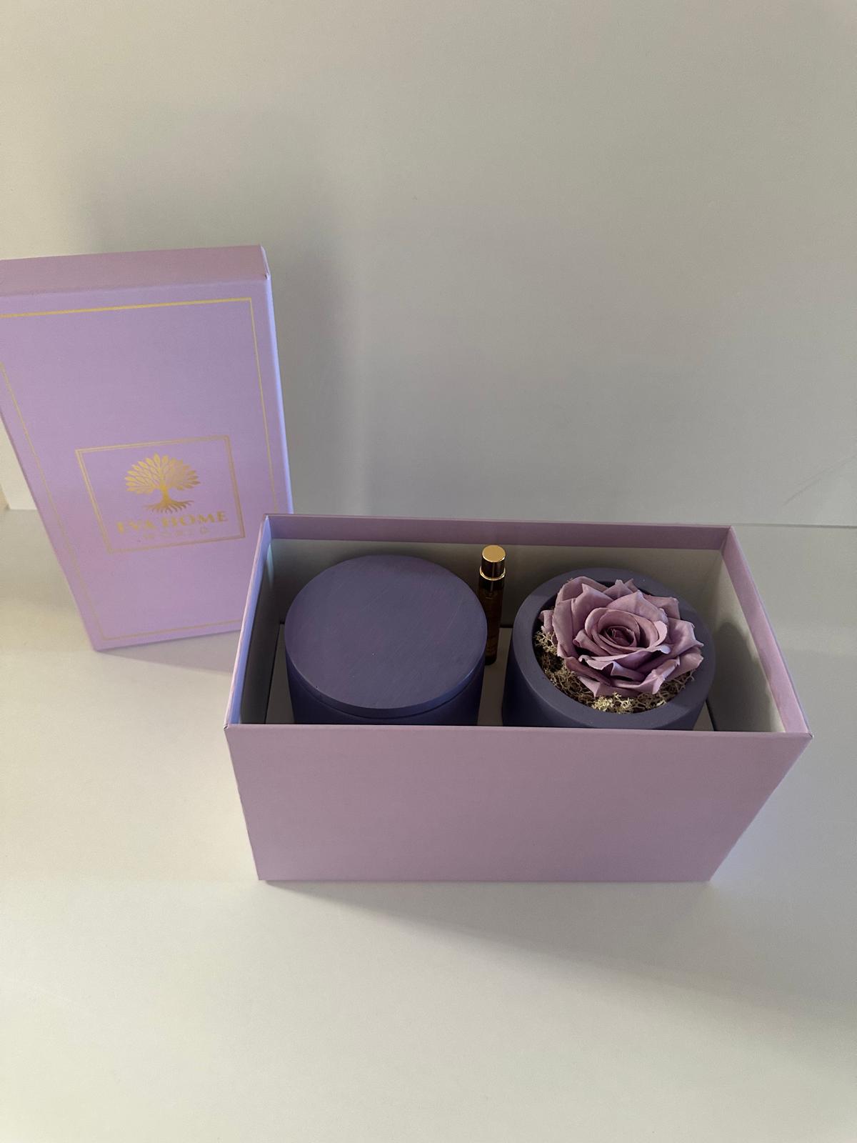 Lavender Peace – Stillness & Clarity Ritual Set